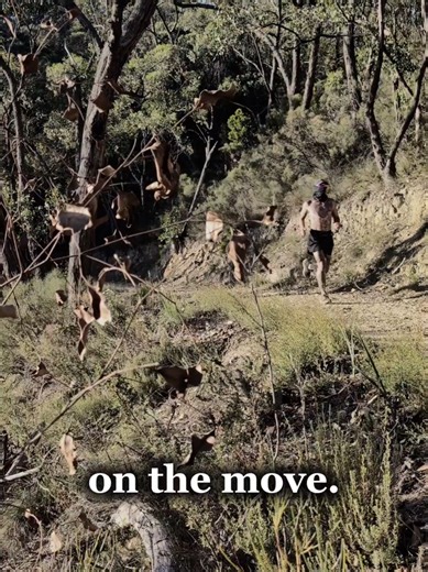 string bean (@stringbean.miles)’s videos with original sound - string bean