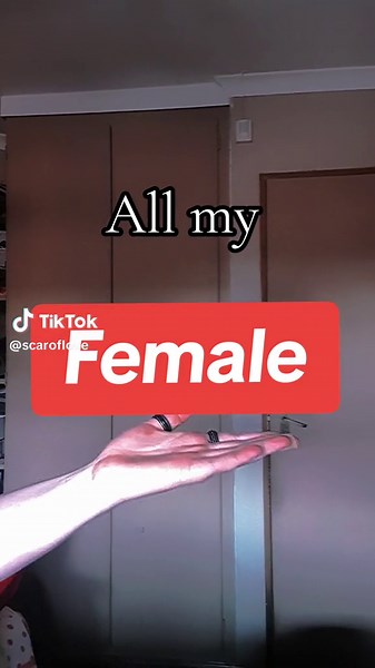 Female Puppet Collection Showcase | ScarOfLove Dragon Puppet Series