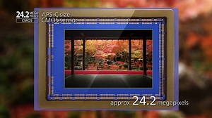 ☝Perfecciona tus fotografías y toma el camino correcto de los detalles 📸 Te vas a impresionar con todo lo que la #Canon #EOS77D ofrece para ti que te inicias en este increíble mundo 🌎🚨🕵‍♀ El vanguardista enfoque automático de nuestra cámara te aportará nitidez absoluta, además su pantalla táctil de alta resolución es increíble para que captures momentos especiales 🏝🚴‍♀⛹‍♀ Incorpora dual Pixel CMOS AF que mantiene nítidos los motivos a medida que cambias de posición. Transfiere archivos de 