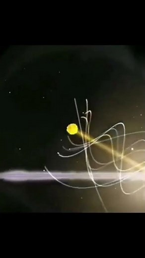 How Planets Move Around the Sun 😳 | 3D Science Explained