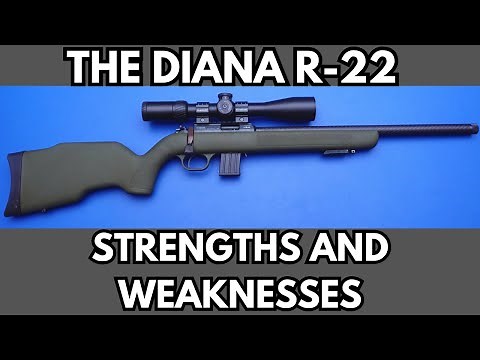 Diana R-22 Review