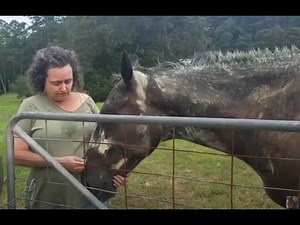 All purpose itch treatment, for midge/Sweet itch, mites/Mange, fungi/Ringworm. Neck Threadworm.