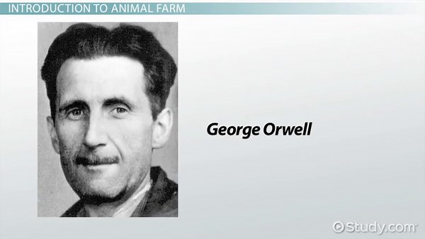 Boxer's Quotes from Animal Farm