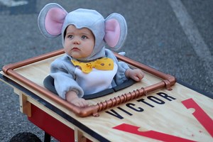 Mouse Costume (trap Not Included) - Etsy