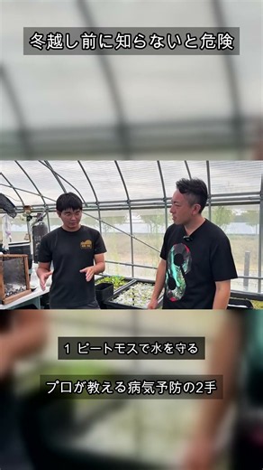 冬越しでメダカを病気にしない2つの対策
