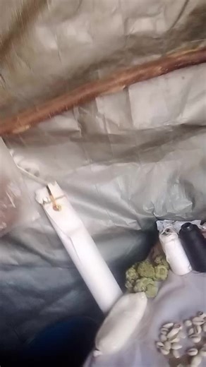 Vidéos de alimatou (@alimatou4191) avec original sound - alimatou