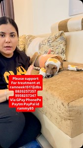 96K reactions · 2.6K shares | Support at 8826257357 9958257347 is massom se bache ke treatment ki liye #puppy #puppies #puppylove #puppylovers #puppylife #dogmother #dogmom #dog #dogs #dogfood #doglife #doglover #doglovers #supportus #blessings #love #reels #viral #instareels #insta #instagram #fb #fbreels #fbreelsvideo #fbreelsfyp | Rammyk1517 | Facebook