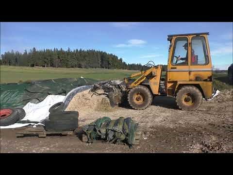 Futtermischen in Unterstand + Kühe füttern