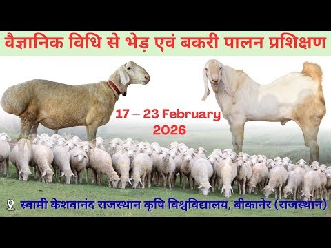 Goat Farming Training ll Goat Farming Training 🤙 Feburary 2026 #goat #training #farming #class #live
