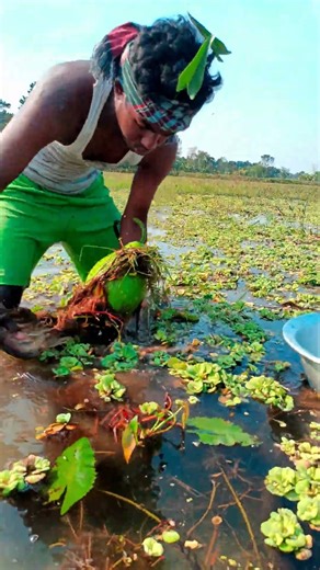 Traditional Bamboo ‘Lao’ Fishing | Real Village Fishing Moments