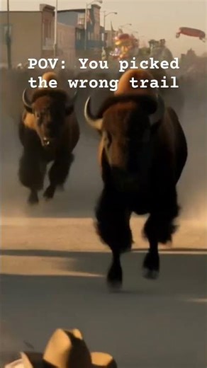 Bison Run: You won’t believe what happens!