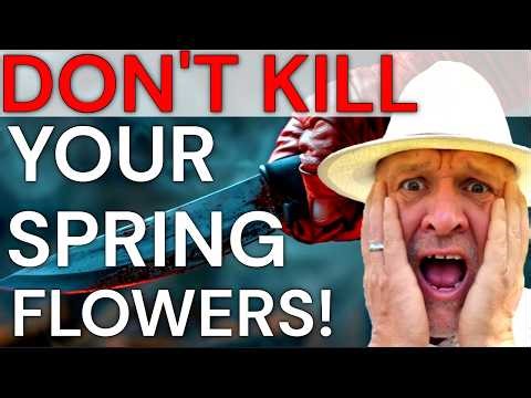 Five pruning mistakes that can kill your spring flowers!