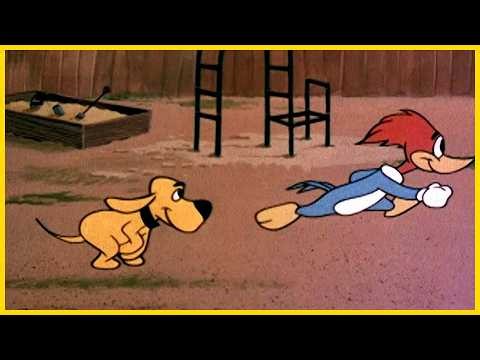 Woody Woodpecker | Classic Mega Compilation Vol 37 | Retro Funny Cartoons