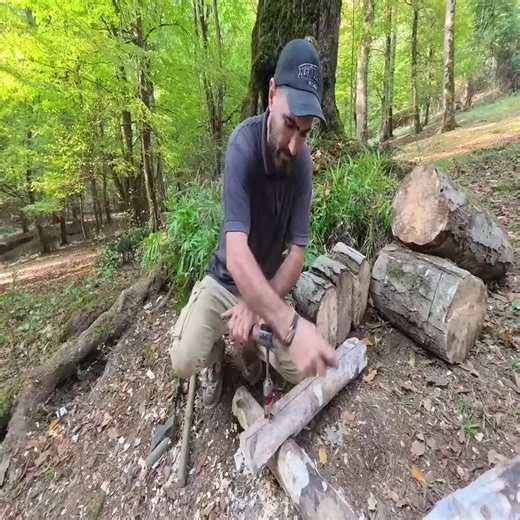 Building a Secret Underground Shelter Deep Inside Big Oak Tree, bushcraft, survival_013 | Off-Grid Adventures
