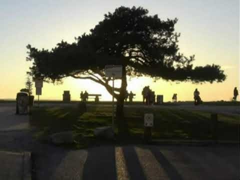 CORN HORSE -- 'TRIBUTARIES '