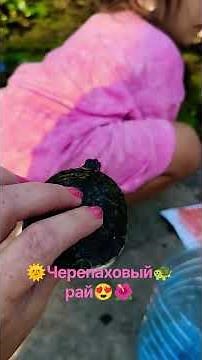 🐢Turtle🐢🌺paradise#Hot Spring 🏞️💗#There's a pond with turtles in the park 🐢🐢🐢