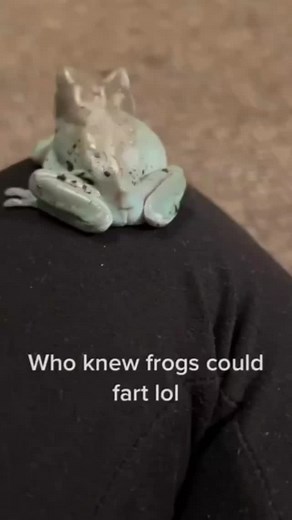 Why you looking at frog butt. #funny #humor #frog #butt | James Williams