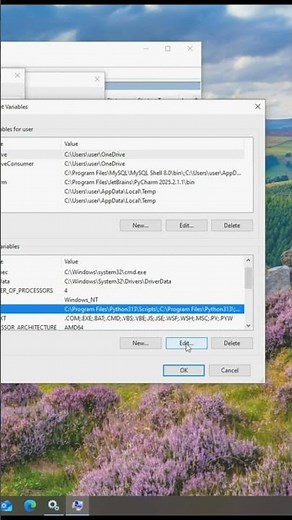 step 2, add MySQL bin path to "system variable"