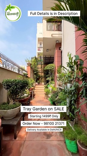 59K views · 347 reactions | Tray Garden on SALE 朗 華 . . . Tray...