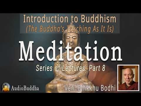 Bhikkhu Bodhi: Introduction to Buddhism: 8.Meditation | Lectures