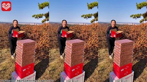 9块9秒杀-松子-2849