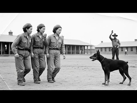"Cowboys Said, 'He's Killed Before'" — What The Camp Hound Did Next Left Japanese POW Women Stunned