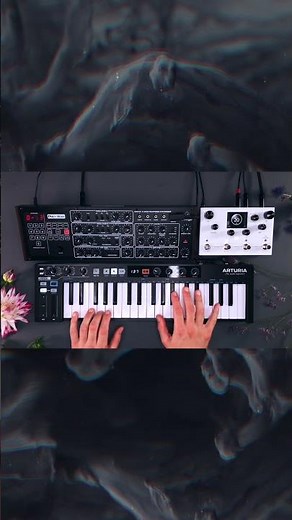 Behringer PRO 800 Presets Dub Techno