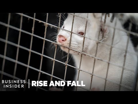 Can Real Fur Coats Make A Comeback? | Rise and Fall