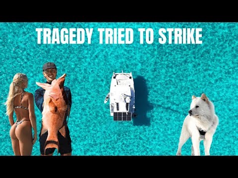 HUGE Hogfish Catch and Cook ep. 19