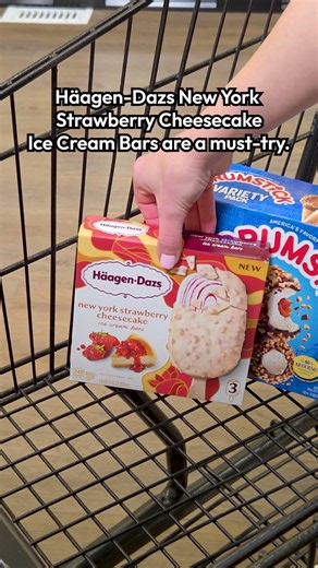 Dreyer's Summer Grocery Haul