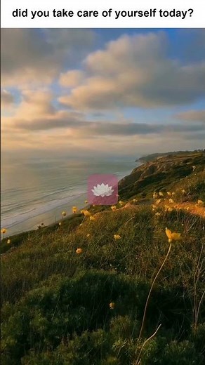 rewire your brain using "bloom affirmations" app