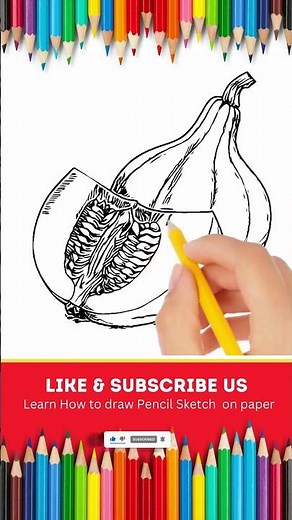 How to draw Butternut Squash Sketch Tutorial For Kids & Toddlers #artforkidshub #learnhowtodraw