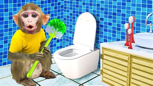 Funny little monkey: The cute monkey turns into a cleaning expert. With a toilet brush in hand, will it take on the cleaning task? | Okeeey