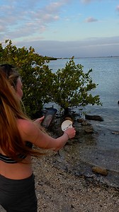 #TossShells4Sara #saramatters #saraebersole #saraebersolematters #JusticeforSara 🐚 Sara Ebersole Missing and Endangered Reddick, FL Marion County Florida March 3rd 2023 Sara grew up in Sarasota Florida These were her old stomping grounds | Michelle Crystal Tullis