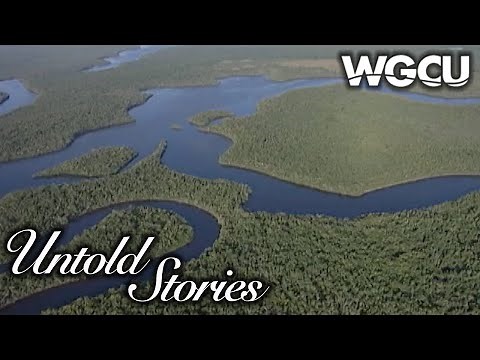 Protecting Paradise: Collier County, Florida Conservation | Untold Stories | Florida History