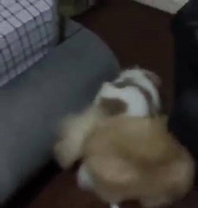 Flashback of what happened last night! 󾍁󾌩✌️ | Kasper and Friends