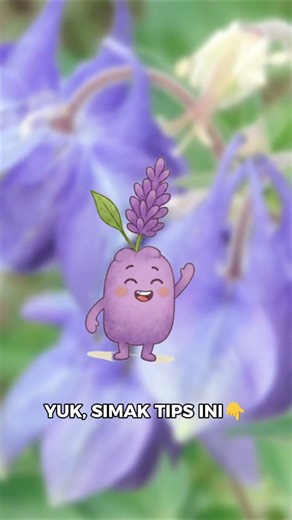 Cara Menanam Lavender di Rumah yang Mudah Tumbuh