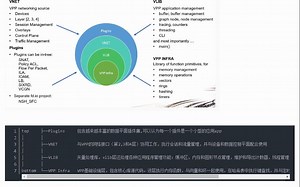 vpp之浅谈插件和使用
