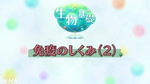 免疫のしくみ （２） | 生物基礎 | 高校講座