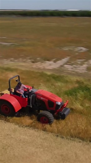Orchard LP Flail Mower By Vrisimo