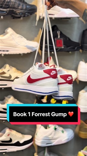 Forrest Gump Book 1 - Discover the Story