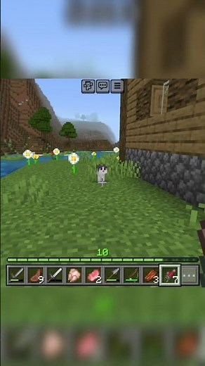 How to Tame a Cat in Minecraft 🐈 (Easy Trick) #shorts #minecraft