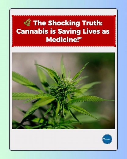 🌿 The Shocking Truth: Cannabis is Saving Lives as Medicine! | Medical Cannabis Explained