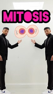 2.2M views · 62K reactions | Biology class. Mitosis explained #celldivision #mitosis #cells #division #animalcells #cellcycle #cytokinesis #rappingteacher #exams #revision #gcse #stem #school #science #combinedsciencegcse #biology | Matt Green | Facebook