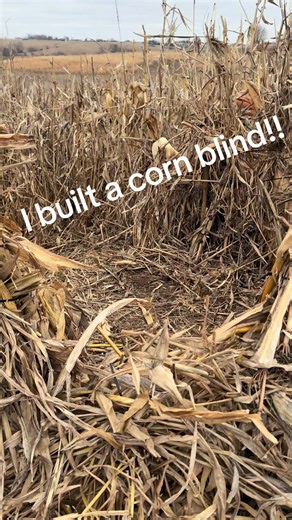 Check out this Corn Blind I made. Should be epic if we can pull this off!