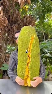 Datos aleatorios el último te sorprenderá #Curiosidades #DescubreYAprende #datoscuriosos #datosaleatorios #parati #increible | Datos Curiosos