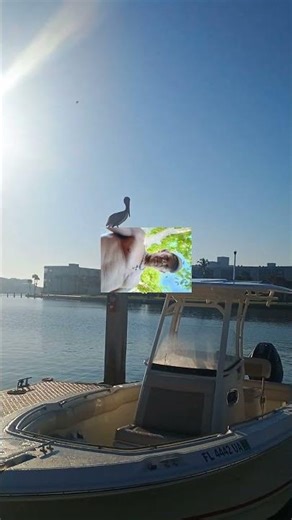 Learning editing and video mixes. Which I'm not good at Yet.