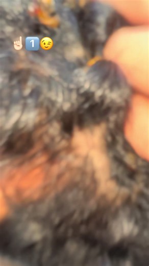 #best_man✂️ #حلاق #فرنسا🇨🇵_بلجيكا🇧🇪_المانيا🇩🇪_اسبانيا🇪🇸 #best_man✂️ #حلاق