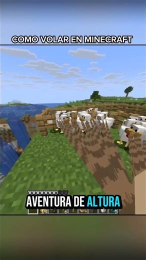HOW TO FLY IN MINECRAFT