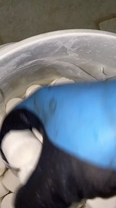 Satisfying Sunday 😎 #Thep00lguy #hollayaboy #asmr #oddlysatisfying #satisfying | Thep00lguy